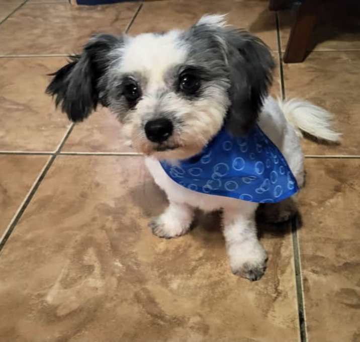 Photo of Cracker Jack