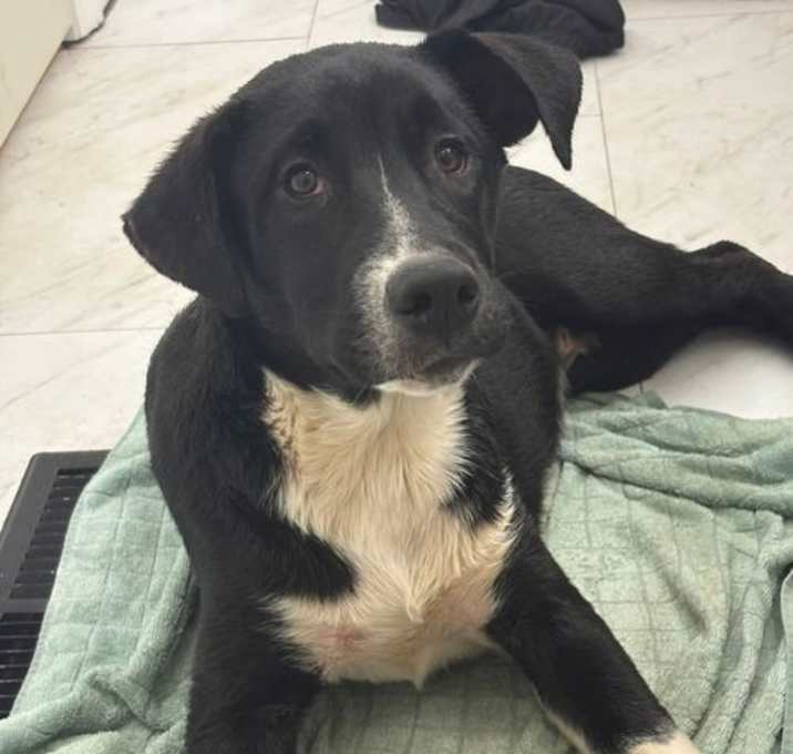 Photo of 251072   Kevin