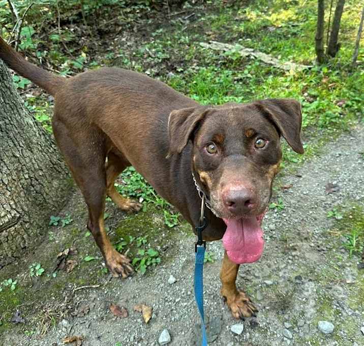 Photo of PETTY, AKA MAX