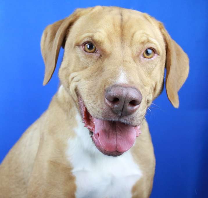 Photo of Annabelle - 070803T-3