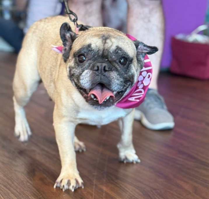 Photo of Baroness Beatrice Von Smooshface 