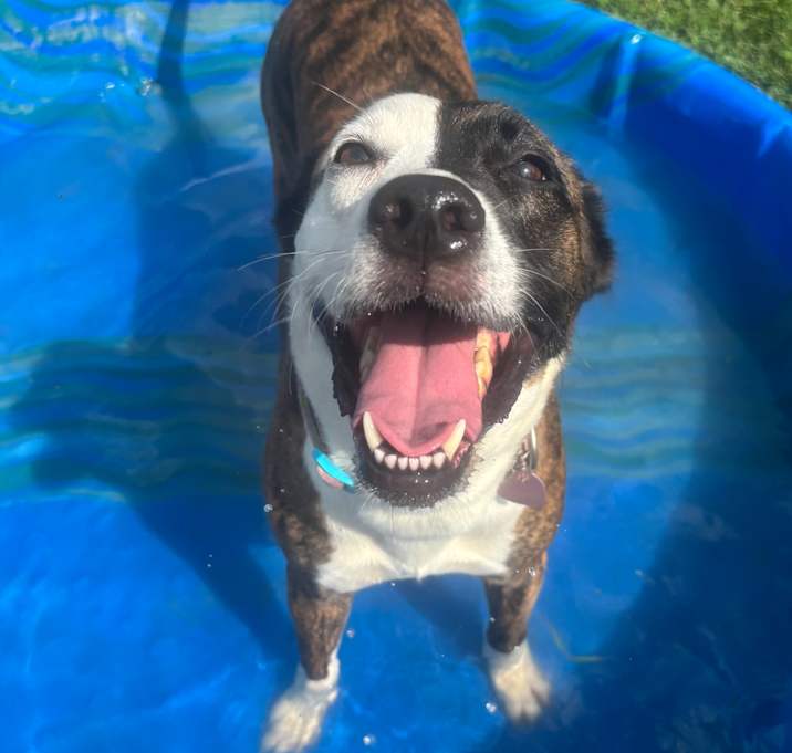 Photo of Tootsie