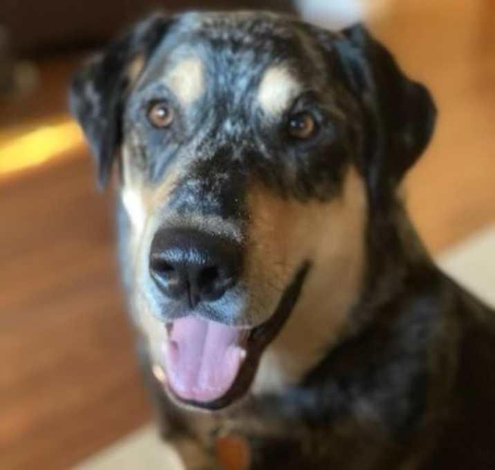 Photo of Tango