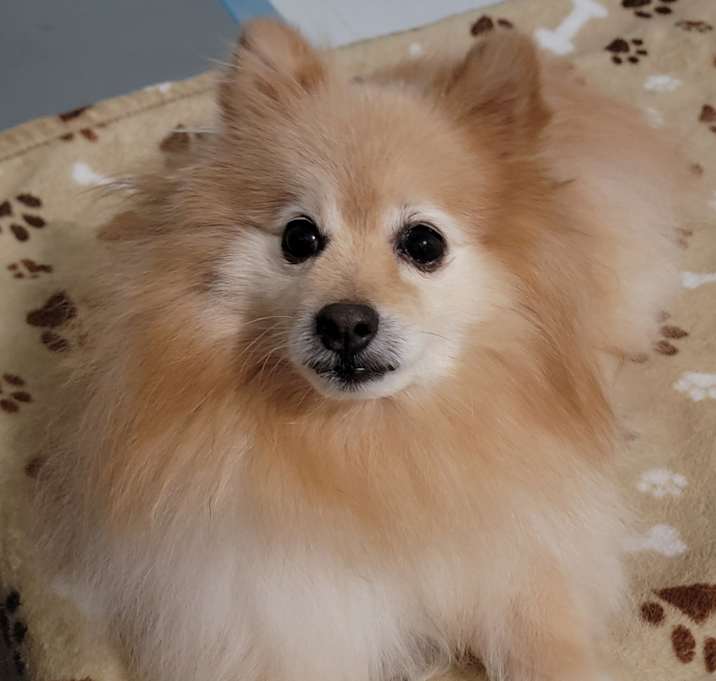 Photo of Sir Charles