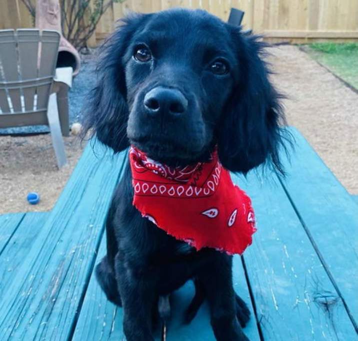 Photo of Levi