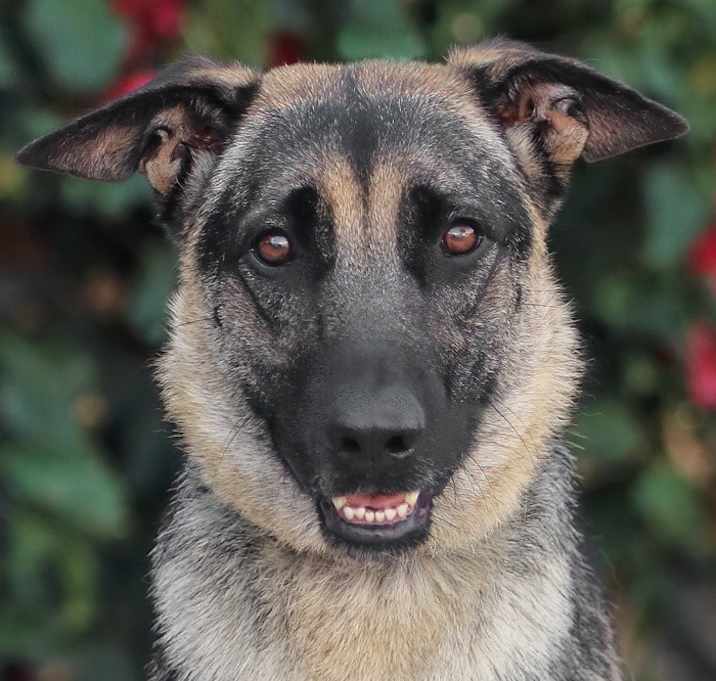 Photo of Maya von Mannheim