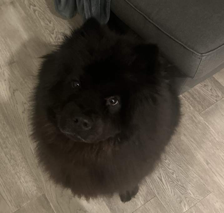 Photo of Kodak