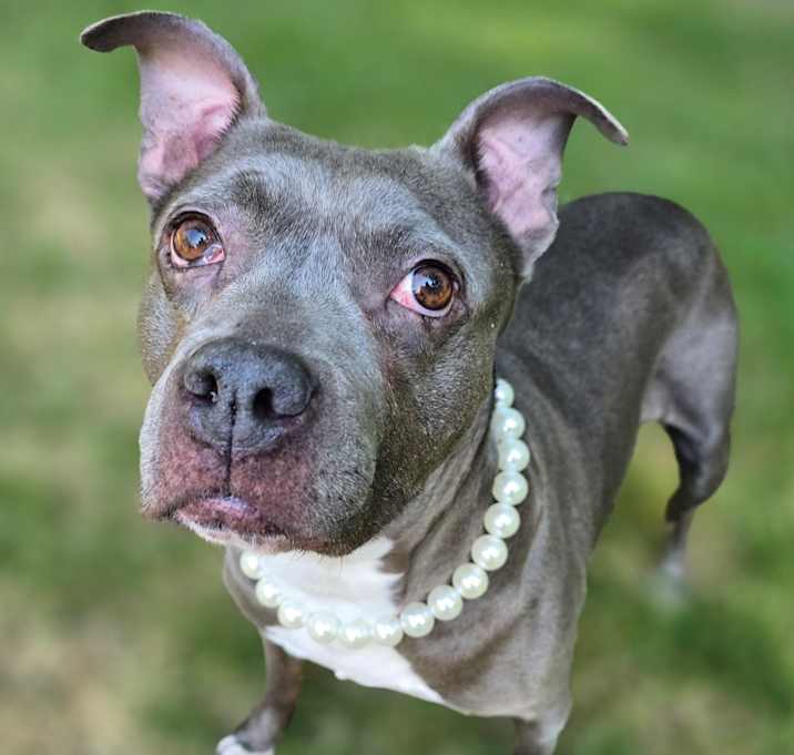 Photo of June Cleaver