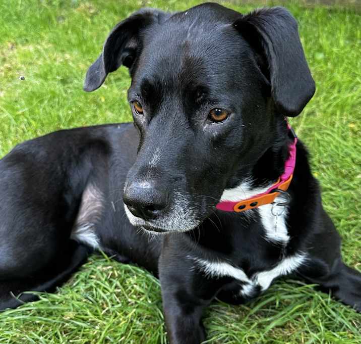 Photo of Zoe
