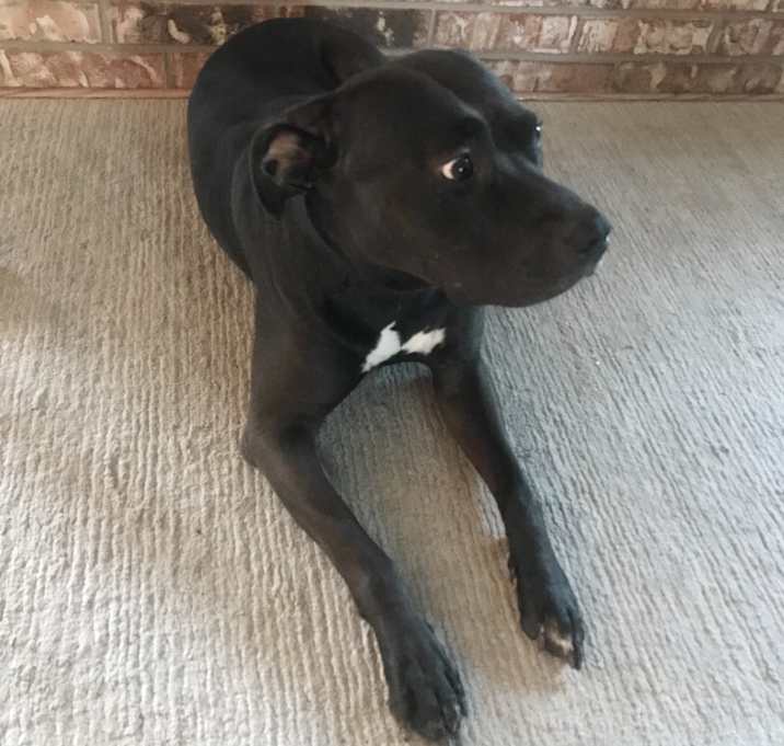 Photo of Hades