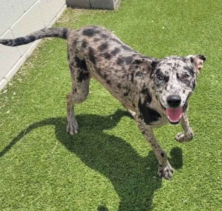 Photo of Breeze 1455