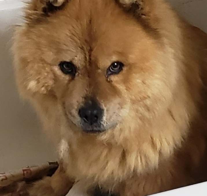 Photo of Sahara