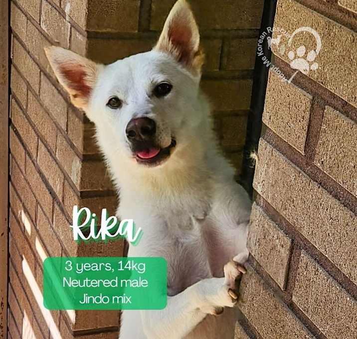 Photo of Rika-Adopted!