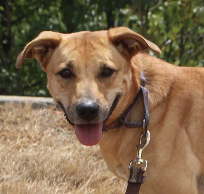 Photo of Molly