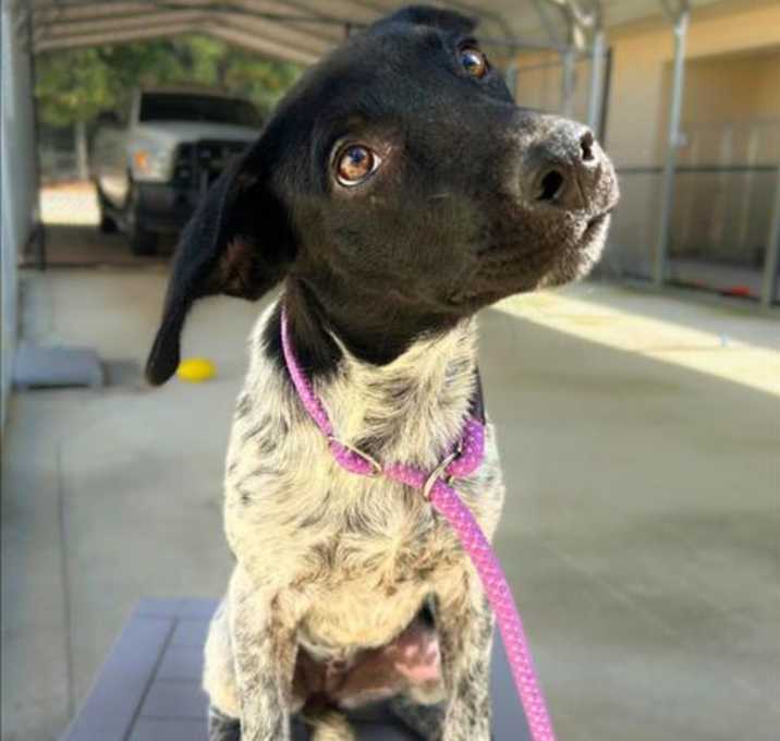 Photo of TESSA