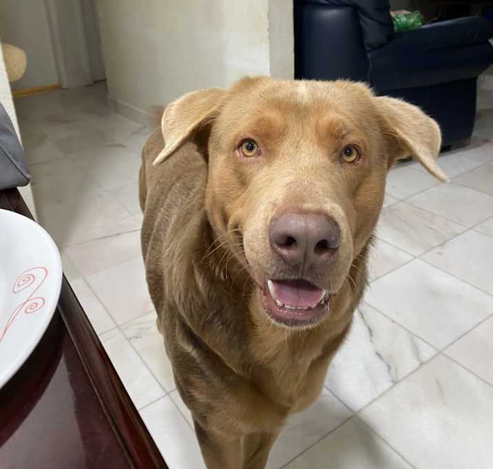 Photo of Max