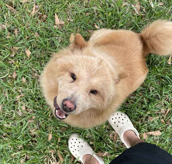 Photo of Nala