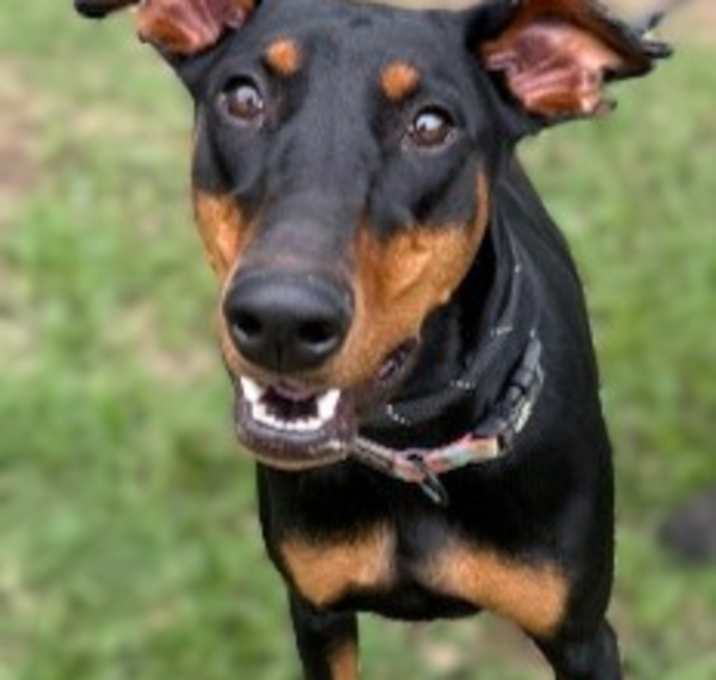 Photo of Nyssa