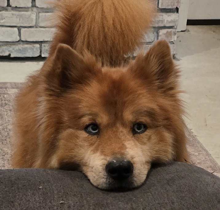 Photo of Charlie