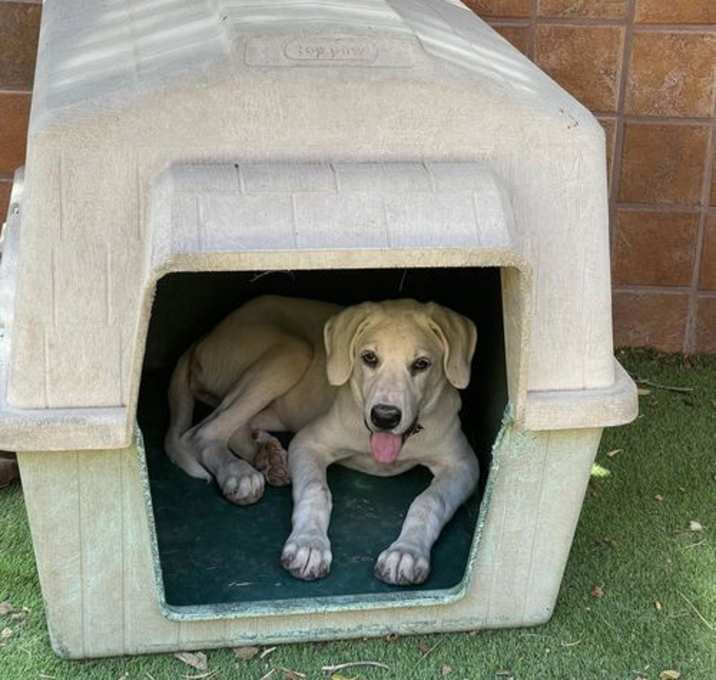 Photo of Jessie (TS)