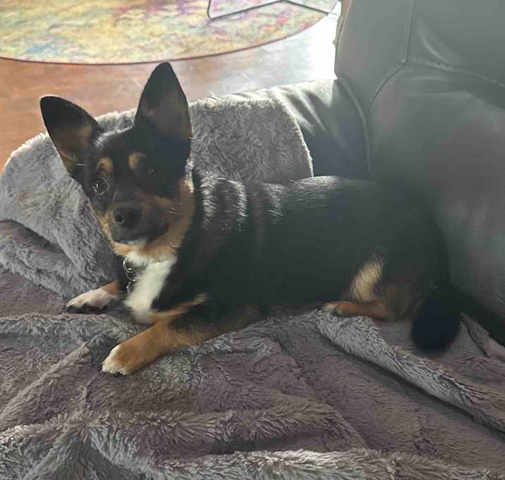 Photo of Buster Buddy