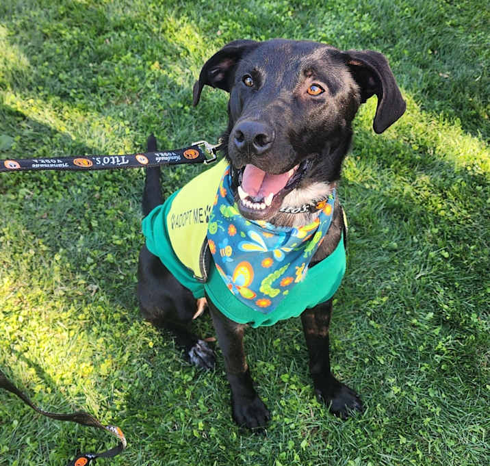 Photo of Spooky F NV