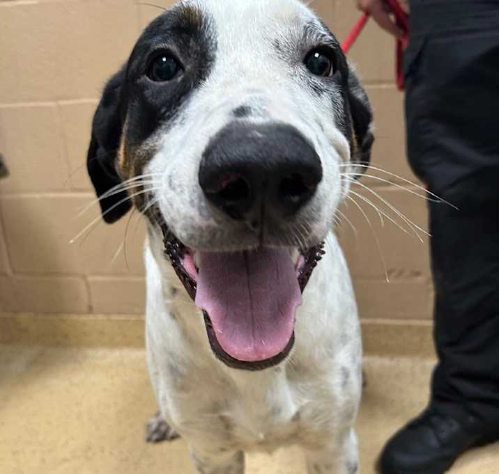 Photo of Buddy