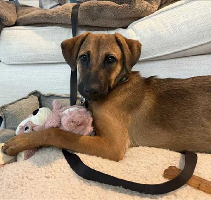 Photo of TILLYY
