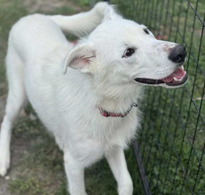 Photo of Isaac