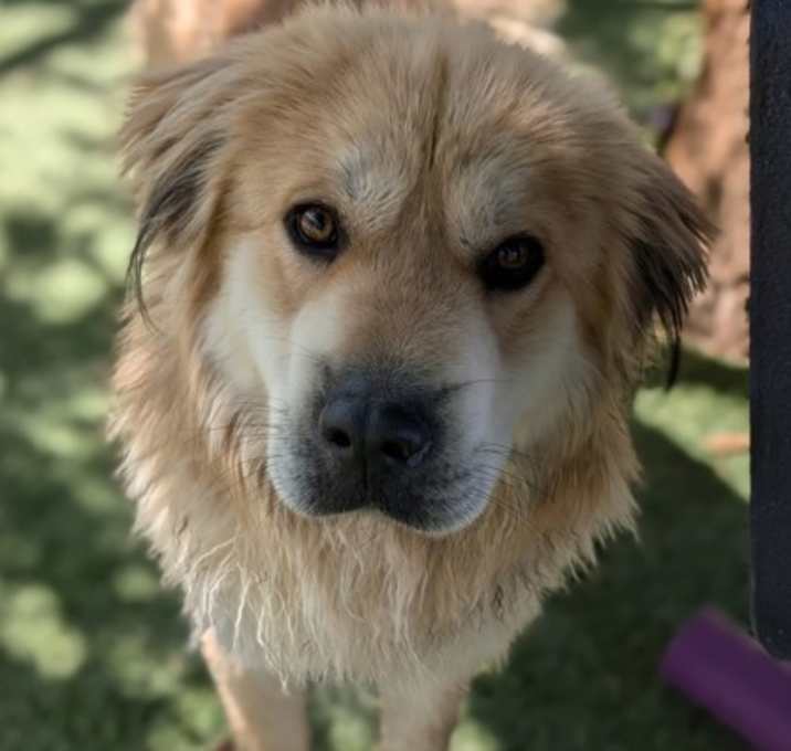 Photo of Rusty AKA B.MO