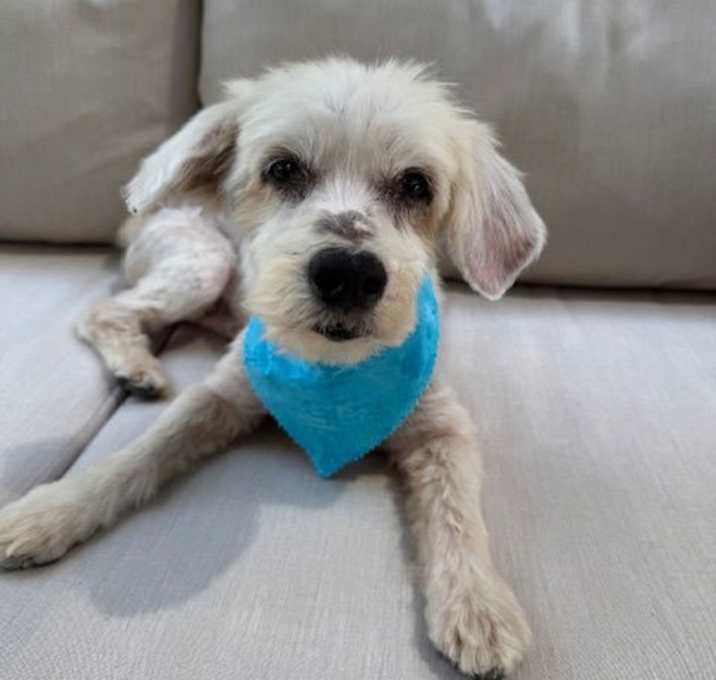 Photo of Crouton (FL)