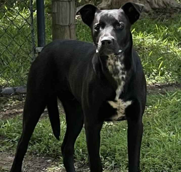 Photo of Clyde CNTY-293