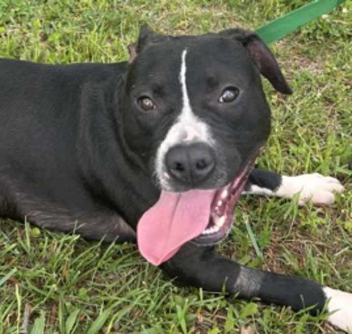 Photo of Bernard Cnty 072