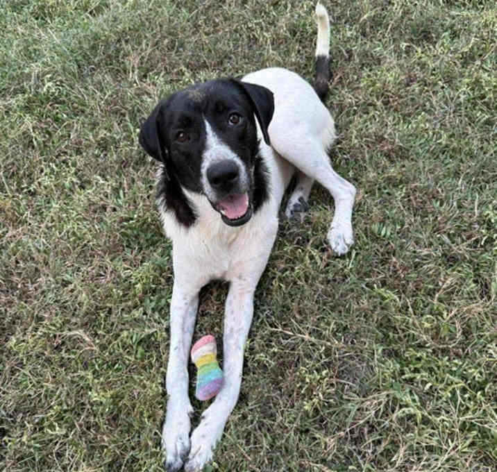 Photo of Lillie