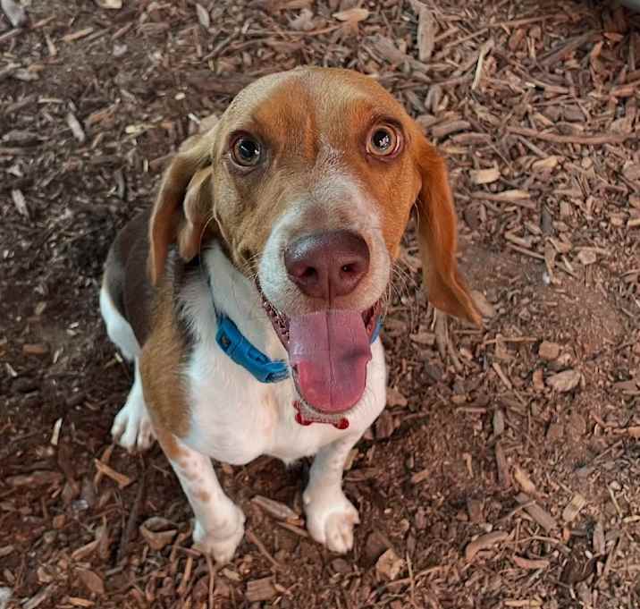 Photo of Levi