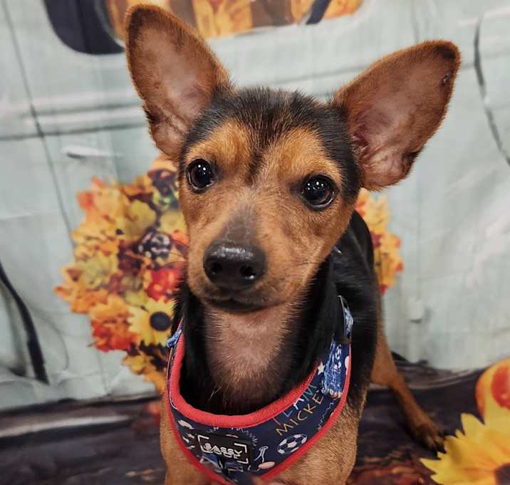 Photo of Donnie aka Fred JuM