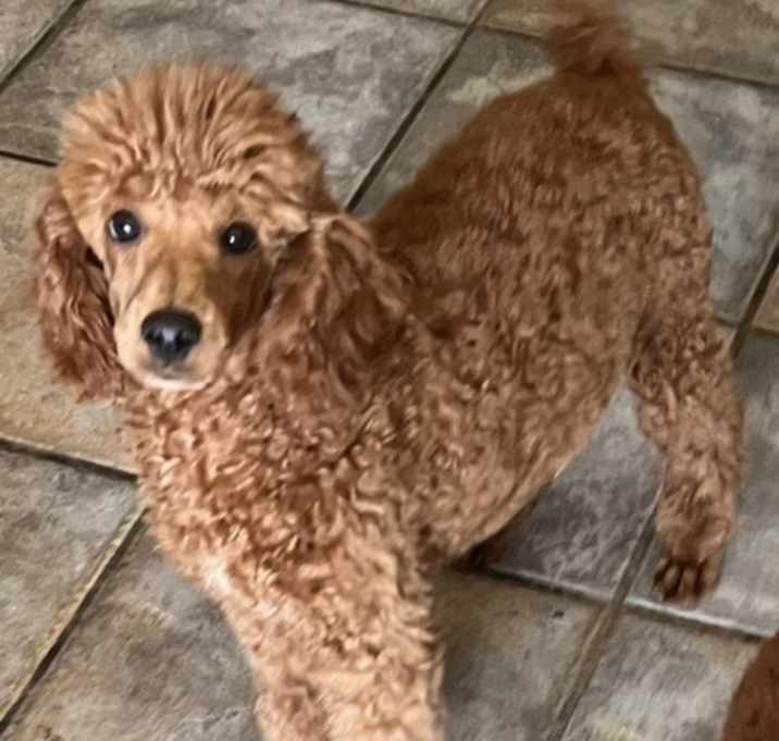 Photo of Jasper