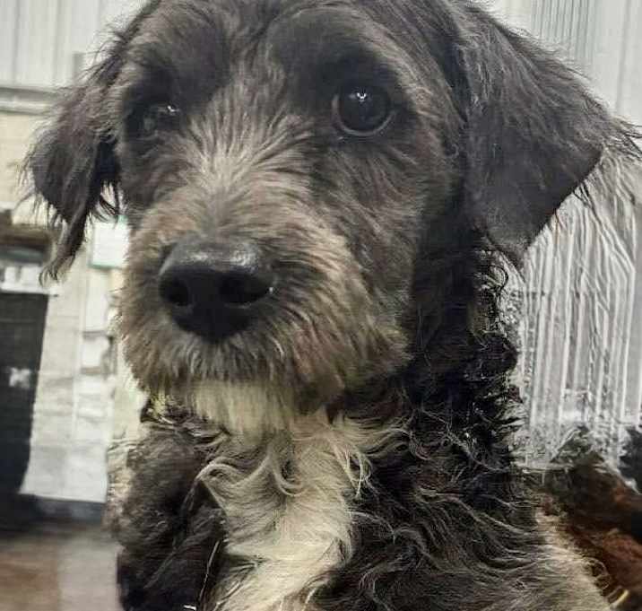 Photo of Ty