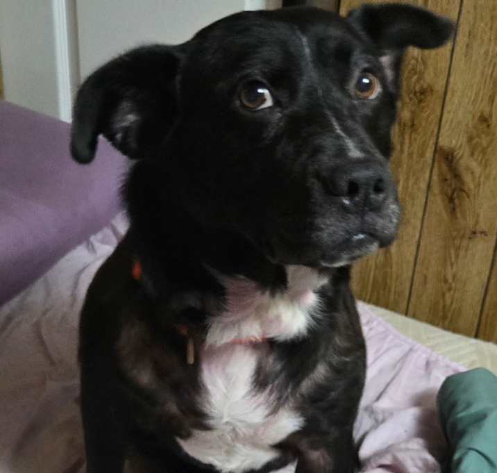 Photo of Benny