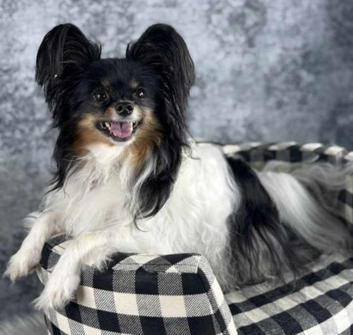 Photo of Heavenly Hope