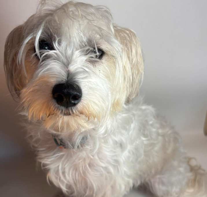 Photo of Rosie B907