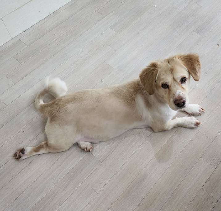 Photo of Janggun