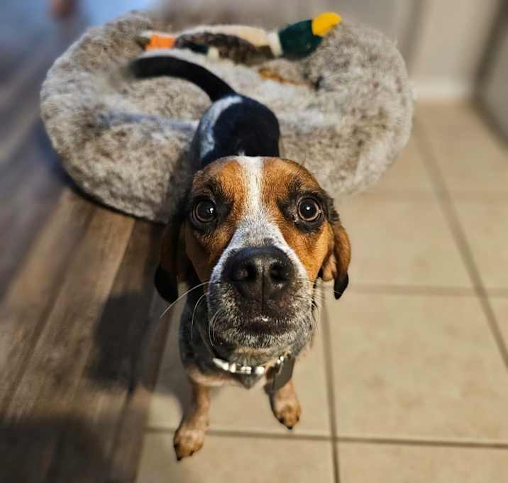 Photo of Benny