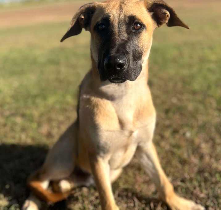 Photo of Jax