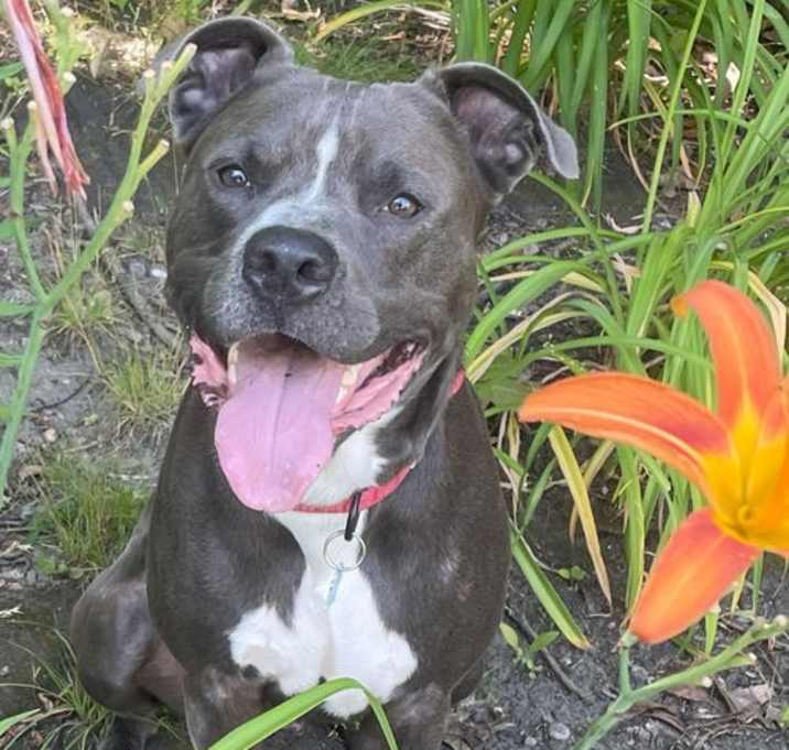 Max -- Courtesy post