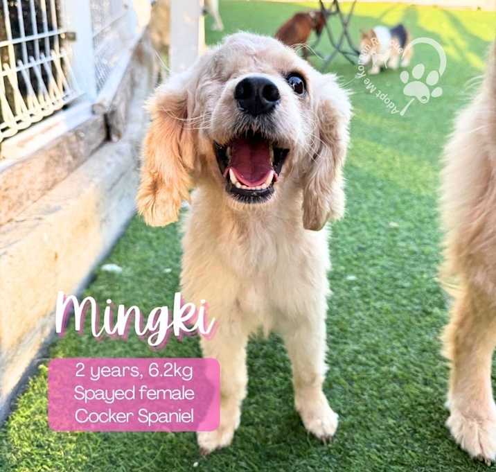 Photo of Mingki