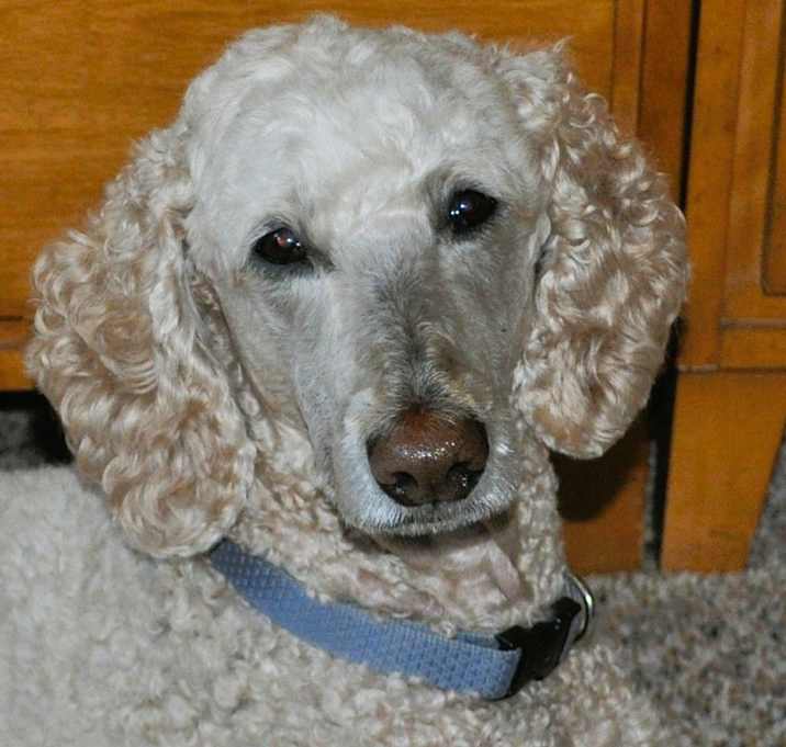 Photo of ELLIE