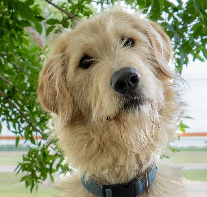 Photo of River Summit