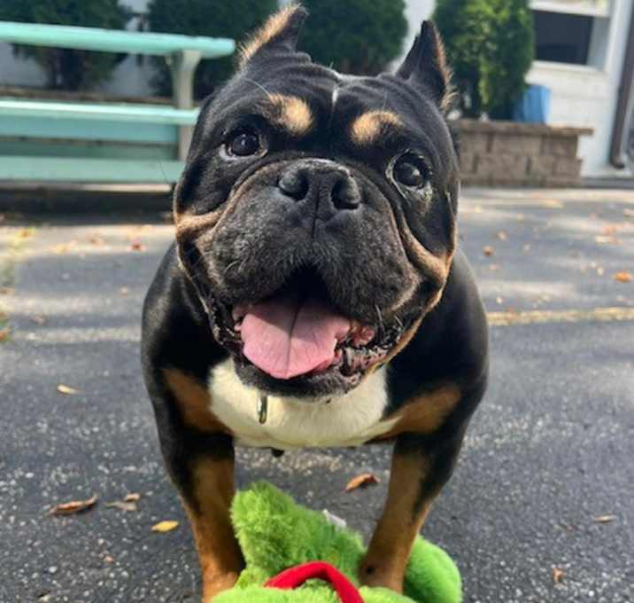 Photo of SHIRL SHIRL