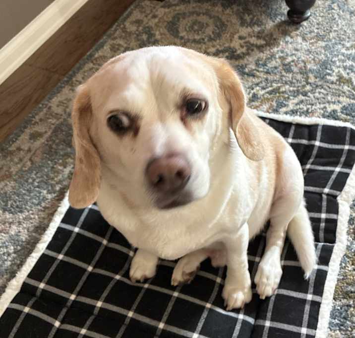 Photo of Charlie